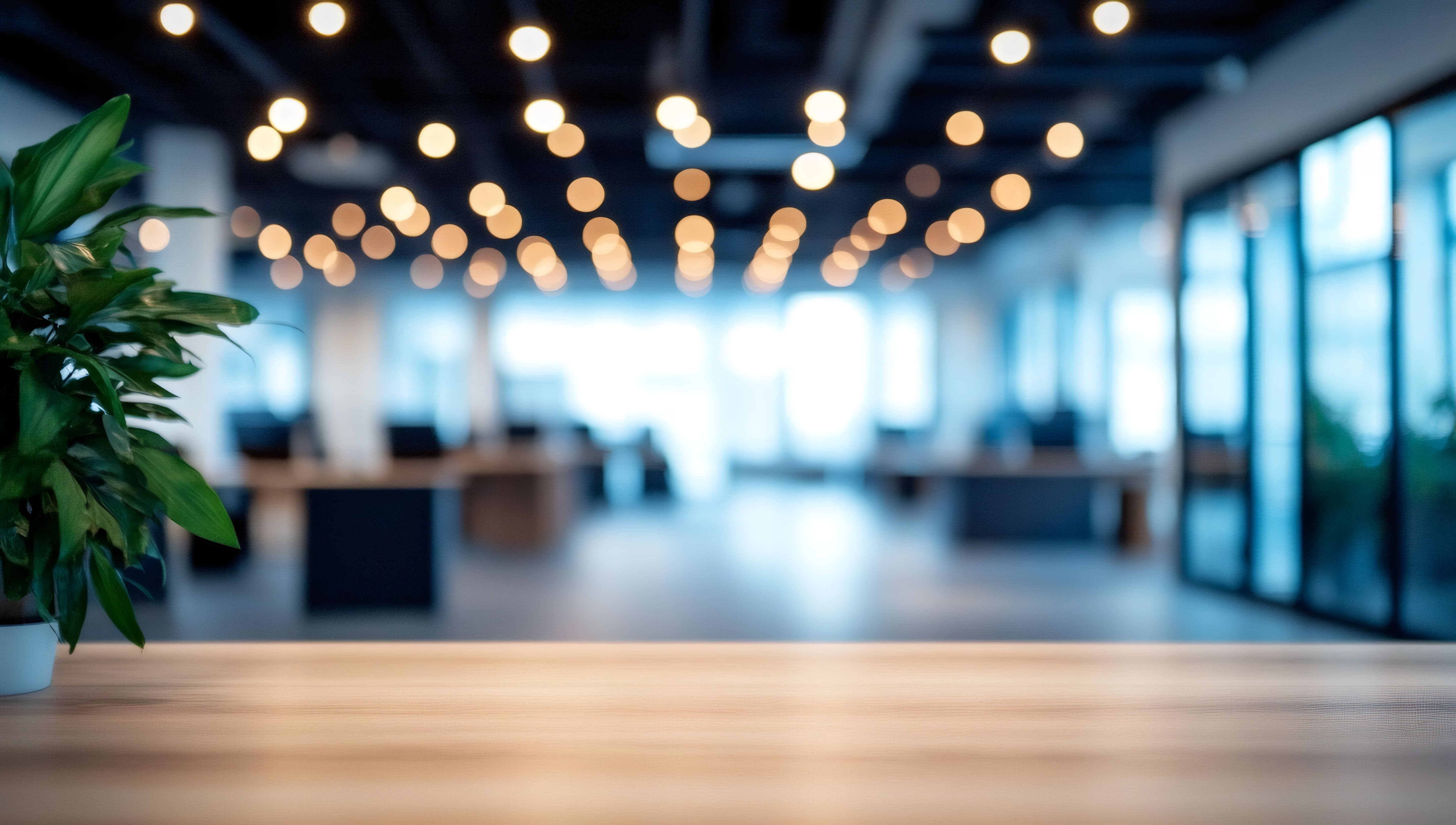 IT系・一人法人