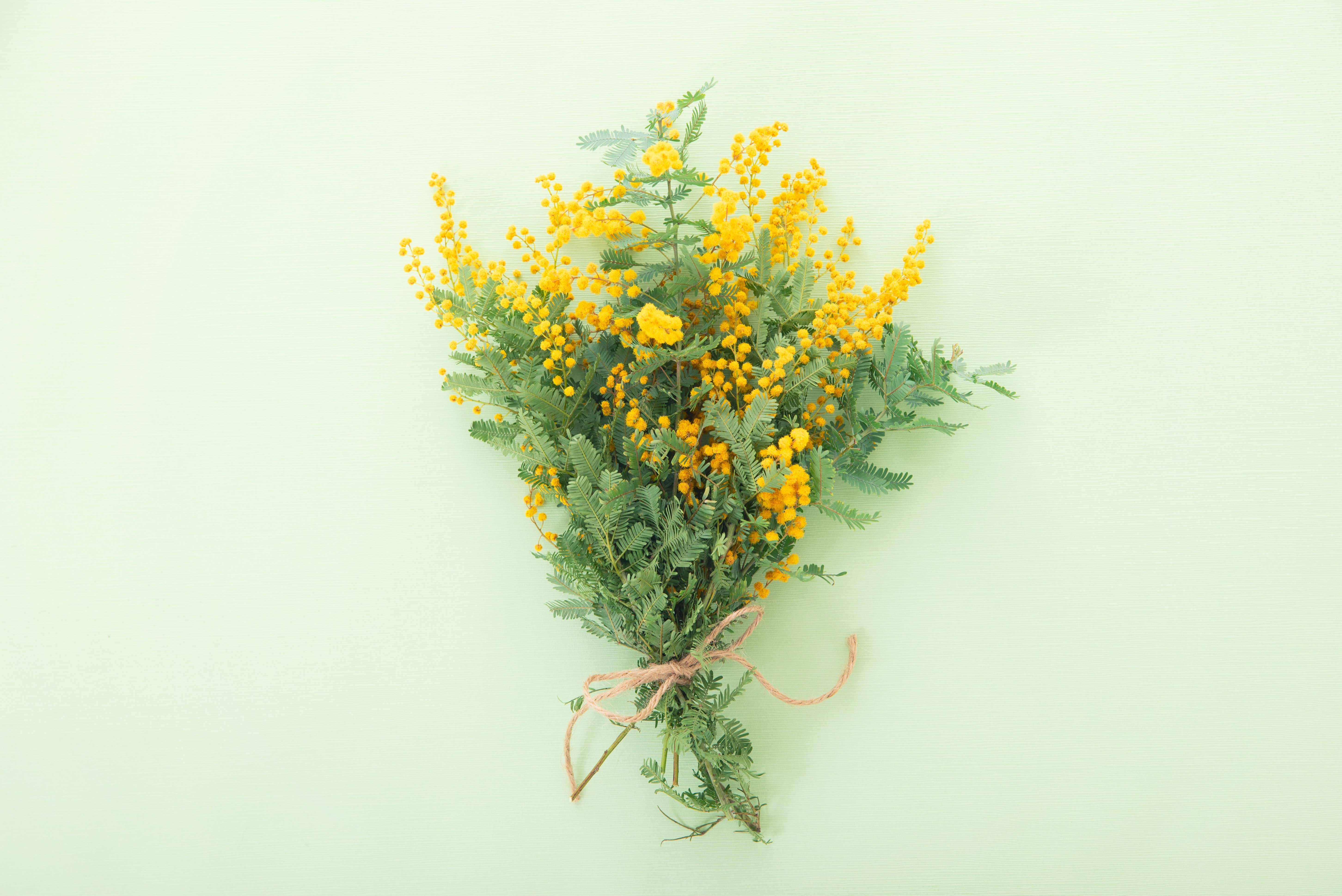 Web系・講座／コミュニティ運営